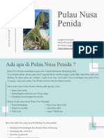 Pulau Nusa Penida2