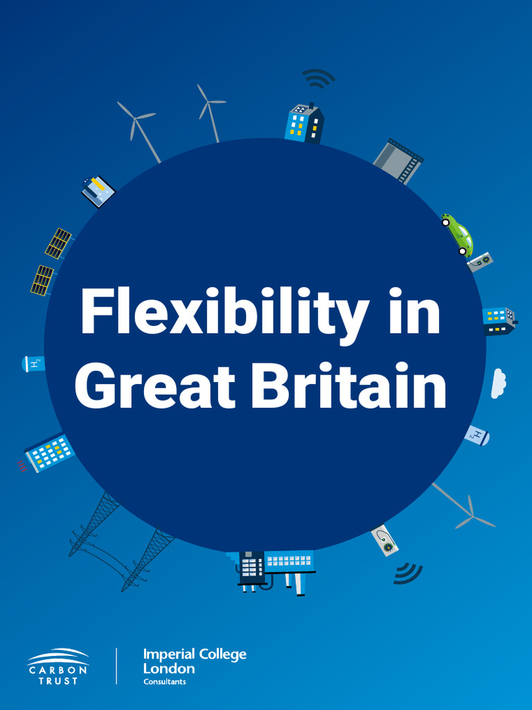 Flexibility in GB Report | PDF | Energy Storage | Electricity Generation