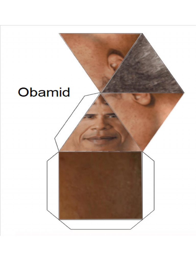 Obamid | PDF