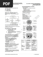 MBR 2019 - Pathology Handouts