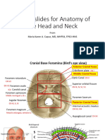 Slide Share - Anatomy of The Head and Neck