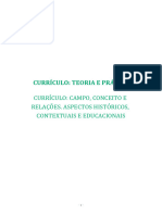 2-Currículo - Teoria e Prática