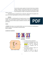 8 - Meiosis