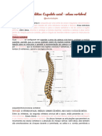 Coluna Vertebral