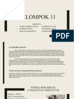 Botani - C - Kelompok 11 - Puring