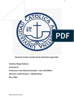 Resumen Teoría Constitucional, Derechos y Garantías.