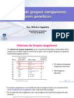 Grupos Sanguíneos - Bases Genéticas