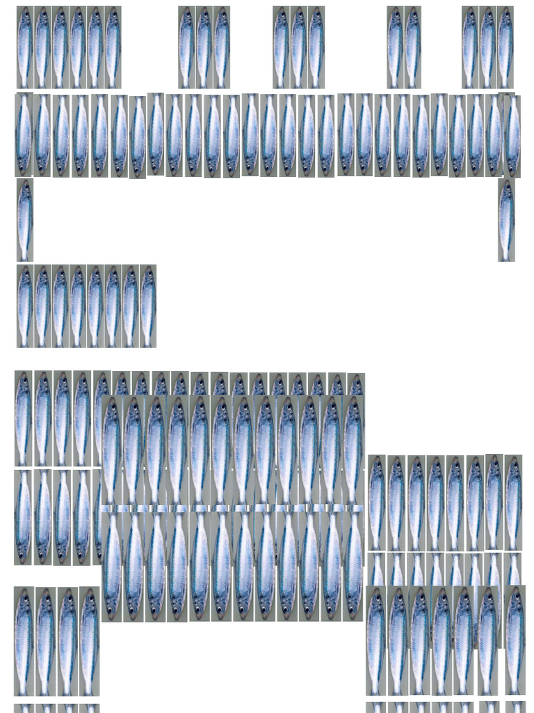 Shop Fish 2 | PDF