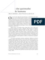 Efeitos Das Queimadas Na Saude Humana