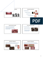 2.1. Oclusion y Biotipologia