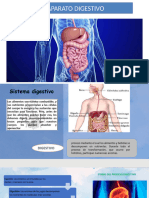 SISTEMA DIGESTIVO Hoy