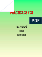 PRÁCTICA 8 (Tibia y Tarso) - 2