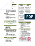 Histology & Integumentary System