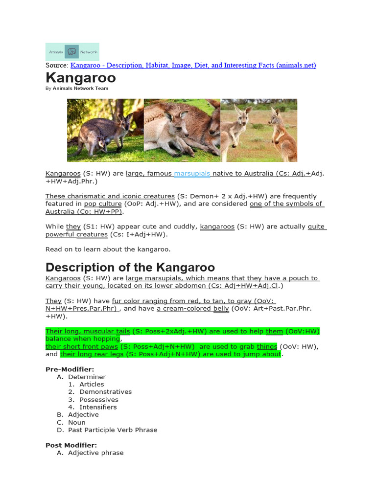 02 Noun Phrase Modifiers Class D Pdf Marsupials Adjective