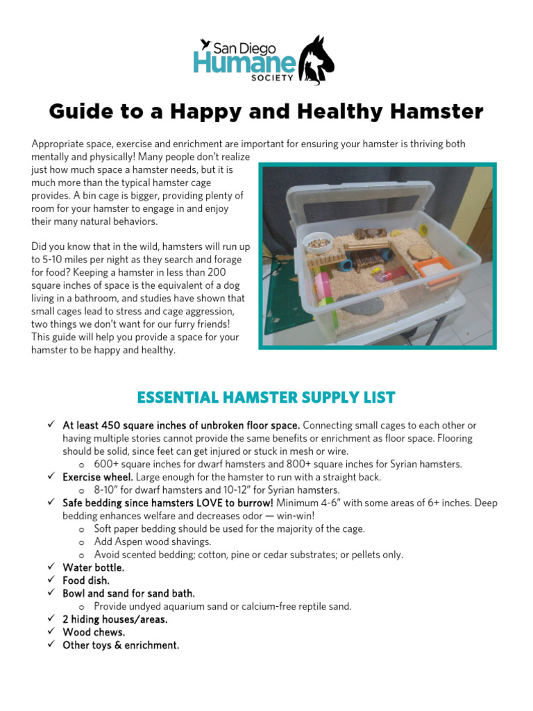 Picture of Hamster Adoption Guide - 100821 | PDF