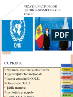 Organizația Națiunilor Unite