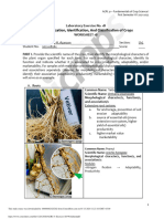 AGRI 31 Exercise 1B. Worksheet PDF