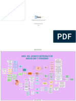 Mapa Conceptual Apar 396369 Downloadable 4732901