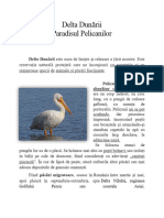 Paradisul Pelicanilor