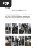 Relatorio Fotografico Modelo | PDF