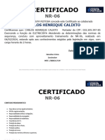 Certificado - Modelo. Nr-06