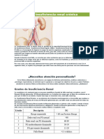 Dieta para La Insuficiencia Renal Crónica