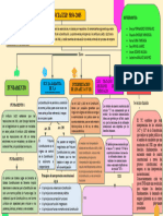 Mapa Conceptual Sentencia