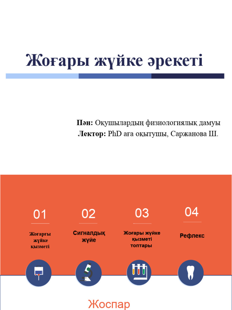 Жыныс мүшесіне жылқының қылын имплантациялау