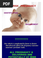 Download High Risk Pregnancy - Identification and Management by api-3823785 SN7131069 doc pdf
