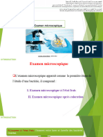 Microbilogie - TP2-Examen Microscopique-2024