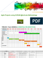 Agile Management in Activate Methodology-020321.1