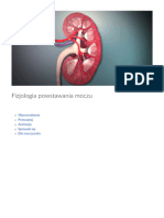 Fizjologia Powstawania Moczu