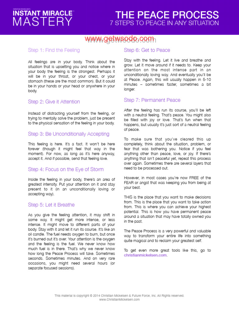 Peace Process | PDF | Feeling | Psychology
