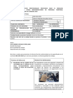 Informe 029 Servicios Profesionales (Informe Final)