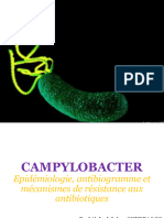 Campylobacter Aso An Diu 2022