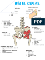 Artroplastia de Cadera