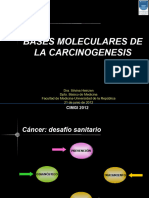 Bases Moleculares de La Carcinogenesis 210612
