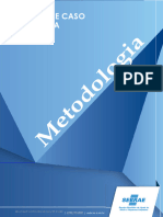 PDF Metodologia Sebrae