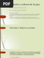 Instituciones que protegen derechos humanos | PDF | Programa de las ...