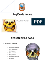 Huesos de La Cara