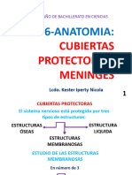 +3ero PP 6-II P Cubiertas Protectoras-Meninges 2