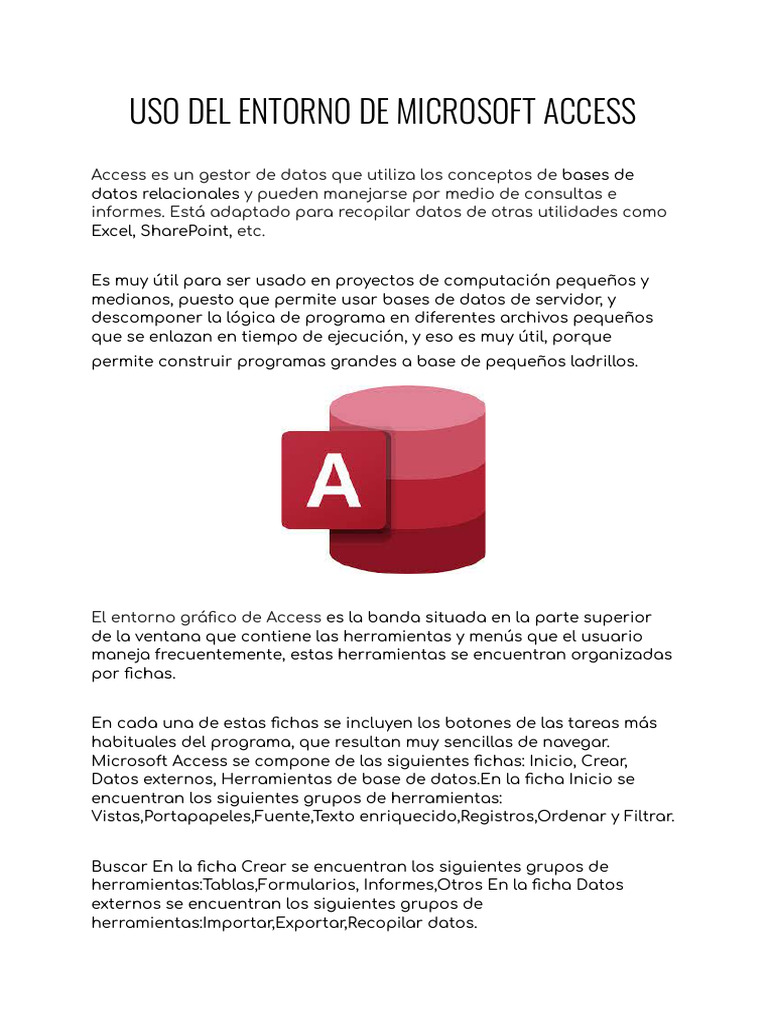 microsoft access en un programa de gestión
