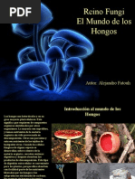 Download Fatouh - 2do ao - Reino Fungi by api-3824772 SN7131278 doc pdf