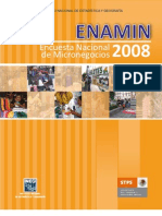 ENAMIN_2008
