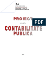 Contabilitate Publica