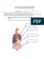 Prueba 2º Ciencias Unidad 1