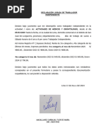 Declaracion Jurada de Ingresos MODELO PERU | PDF | Negocios | Derecho