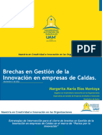 Brechas en Gestión de La Innovación en Empresas de Caldas - INNOVAFEST