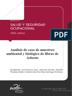 Analisis de Caso de Muestreo Ambiental y Biologico de Fibras de Asbesto