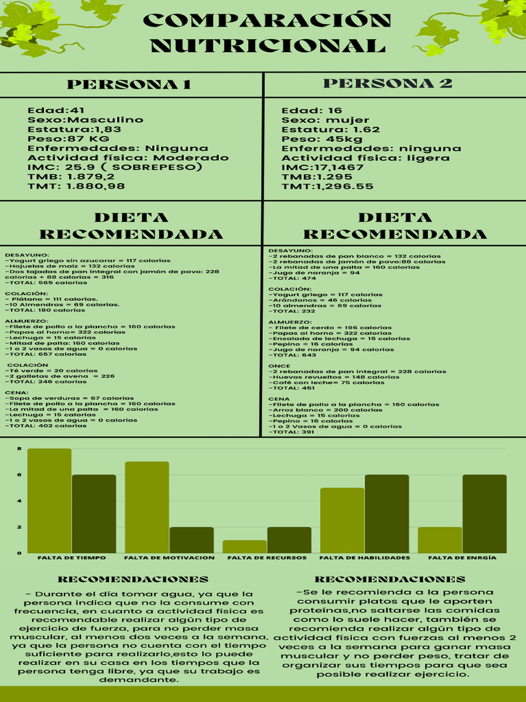 Infografía Dieta Pdf